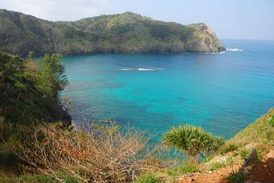 2016 小笠原の旅（2） 父島を歩く