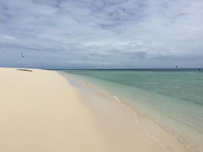 オーストラリア2016【2】(ケアンズ→ウルル→シドニー)