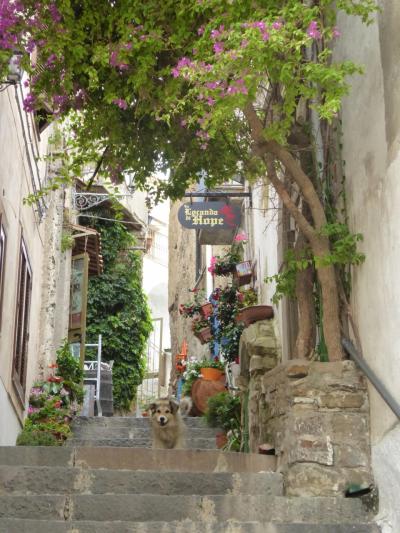 夏の優雅な南イタリア周遊旅行♪　Vol245(第13日)　☆Agropoli：アグロポリ旧市街を優雅に歩く♪