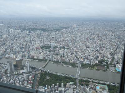 夏休みの社会科見学～JAL機体工場見学と東京スカイツリーへ