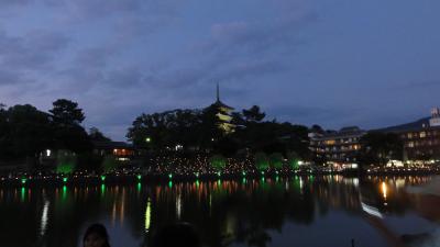 奈良県奈良市 なら燈花会