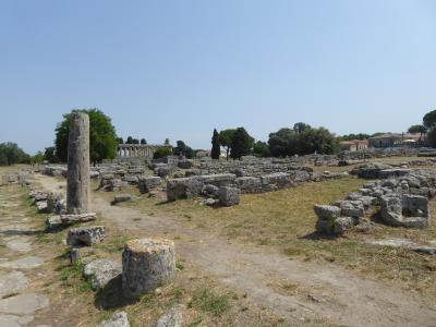 夏の優雅な南イタリア周遊旅行♪　Vol260(第14日)　☆Paestum：世界遺産パエストゥム「古代ギリシャ遺跡」　夢の跡を優雅に歩く♪