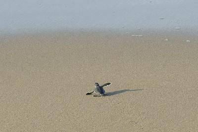 I LOVE BWI << バニュワンギ (その2)