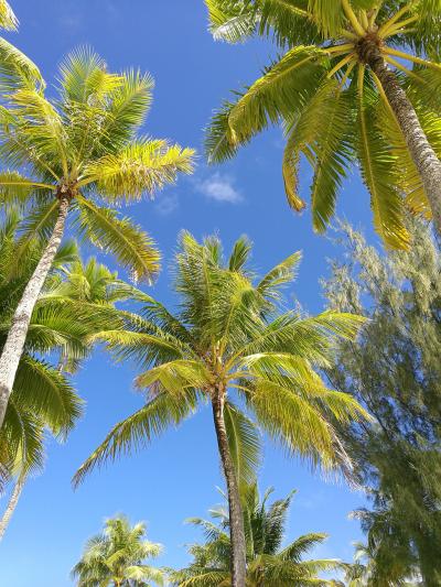 タヒチ〜ボラボラ島〜5日目 挙式+ハネムーン(まったり編)