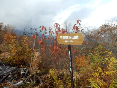 子壇嶺岳登山と観紅葉