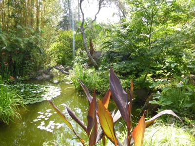 夏の優雅な南イタリア周遊旅行♪　Vol294(第16日)　☆Isola d'Ischia/Forio：美しい植物園「Giardini La Mortella」　「Cascata del Coccodrillo」驚きのアジアンチックな庭園も♪