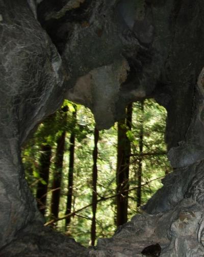 ハート型の鍾乳洞と滝(津野町の四ヶ所の洞窟と二ヶ所の滝)