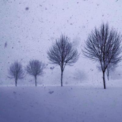 5歳児と行くスノーシュー♪