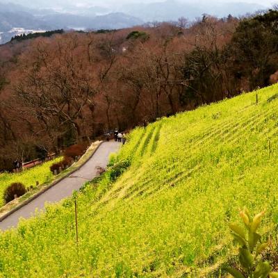 マザー牧場へGO!