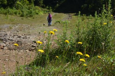 志賀湿原の池巡りウォーク、もう秋の気配!