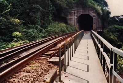 保線路歩きと巨石磨崖仏巡りの「銀の帯」ハイキング