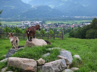 スイス旅行③意外にハードなハイジまでの道