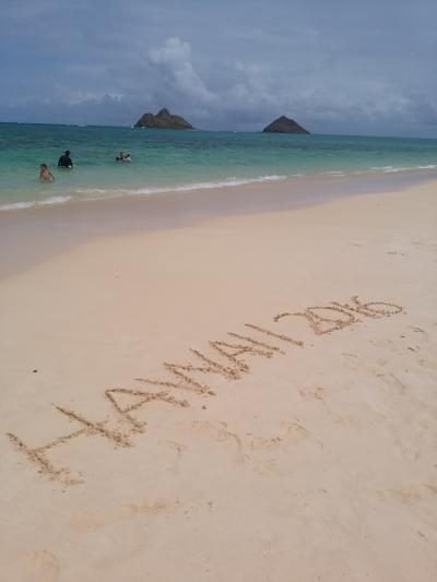 おやじの一人旅・ハワイ11日間2016