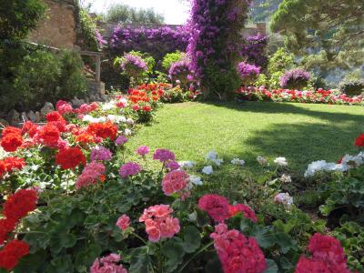 夏の優雅な南イタリア周遊旅行♪　Vol355(第18日)　☆Isola d'Capri：優雅なカプリ島の日帰り旅♪　「Giardini d'Augusto」花が咲き乱れる庭園を眺めて♪