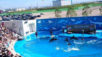 仙台うみの杜水族館&amp;秋保温泉でのんびり夏休み&#127925;