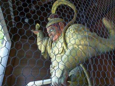 高尾山散策 (行き：ロープウェイ・帰り：6号路を下山) 2010/06/03