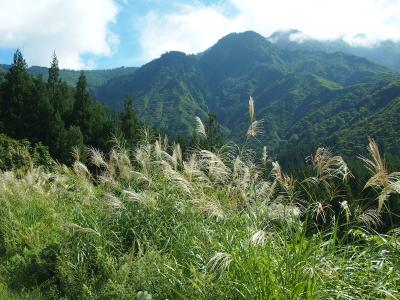 実りの秋　八海山