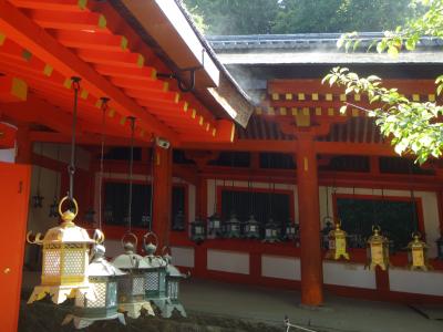 朝は春日大社。興福寺特別拝観三重塔→五重塔のほうがいいと思う。泊りは日航。西国三十三所南円堂(9)