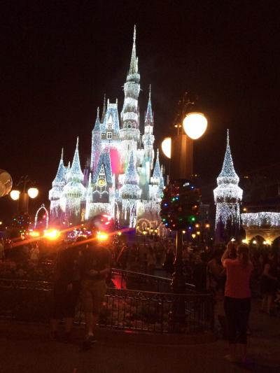 年末年始はオーランド！Disney world 年越しカウントダウン～～