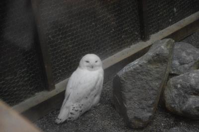 富士花鳥園 