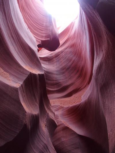 初アメリカ サンフランシスコーグランドキャニオンーラスベガス 3日目ー4日目