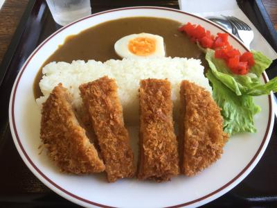 埼玉秩父「浦山ダム」ダムカレー格別の味