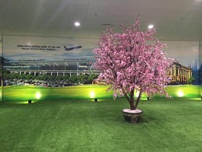 ベトナム航空で行くマレーシア①－ベトナム乗り継ぎ編－