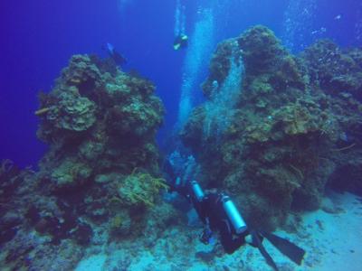 透明度抜群の海♪