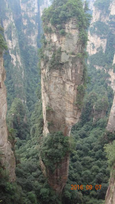 天下無双の絶景　アバターのロケ地武陵源へ