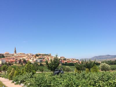 バスクへの旅、再び③　リオハ　ワイン好きの天国