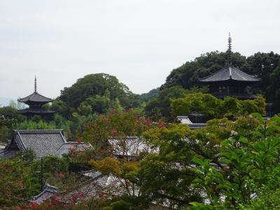 導き観音の當麻寺（たいまでら）と、そして石光寺（せっこうじ）