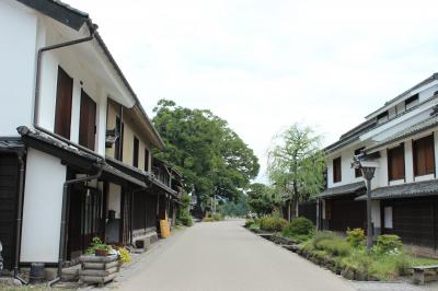 北国街道沿い海野宿、小諸「懐古園」、佐久「旧中込学校」、「龍岡城」、真田の上田城を行く