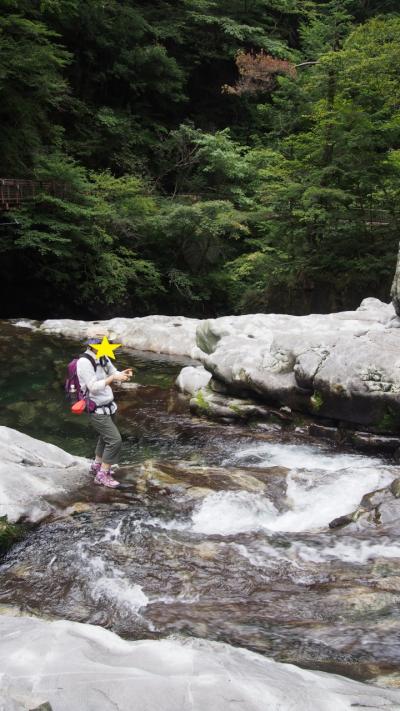 大和の国の山を遊ぶ  その１　～みたらい渓谷から洞川へ～