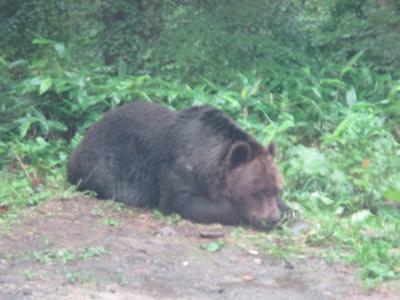 2016年8月北海道旅行（2日目）