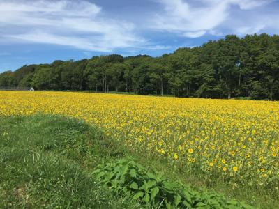 札幌の友達を訪ねて久しぶりの北海道満喫 その2