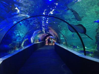 ハノイ街歩き2016年9月その1(Vincom Times Square)