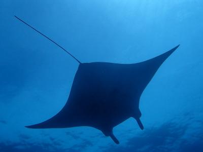 アクティブ女子の八重山贅沢二人旅♪２