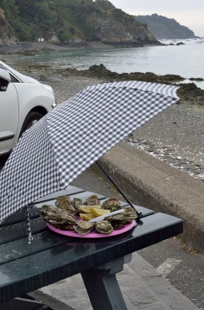 ２０１６年６月テロにも洪水にもめげずフランスへ（3日目～雨と鉄道ストにやられたブルターニュ編）