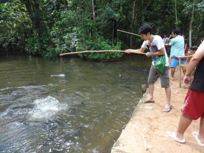 ブラジルを旅して２０１６　～オリンピックに合わせて遊びに行こう・３～