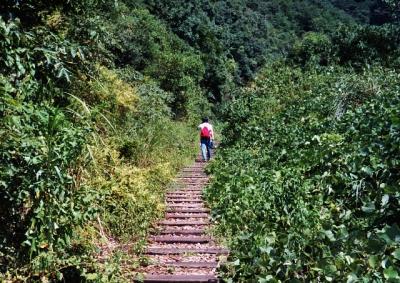 関西随一の人気の渓谷沿い鉄道廃線跡をＪＲが整備