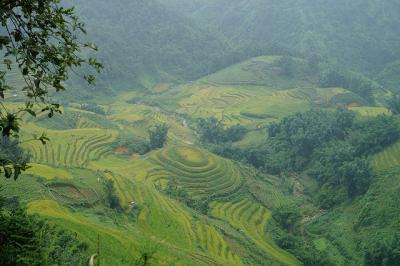 ベトナム・サパ　棚田を見に行く旅～サパ編　2