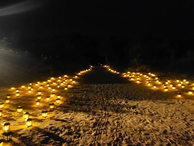 八重山を知る4泊の旅⑤