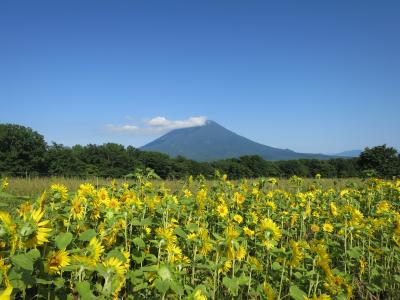 道産子はると夏休み日記＊＊＊満喫♪　《ニセコ》と《雪秩父の温泉》