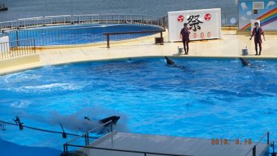 8か月の子供と初飛行機で福岡へ　後半