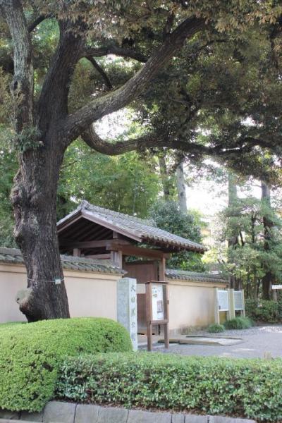 荻窪、大田黒公園