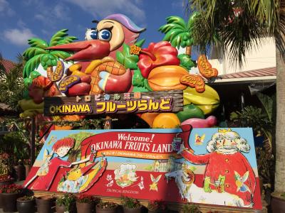 2014冬 バニラエアで行く沖縄の旅 〜年末年始は琉球で！〜