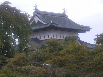 青森の弘前城と花の無い枝垂桜の原木を見に！