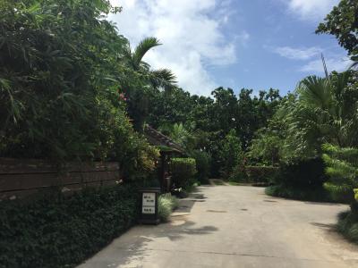 遅めの夏休みに南ぬ島へ 〜台風16号の影響は!?〜 3・4日目