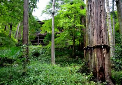 禅定寺と石山寺