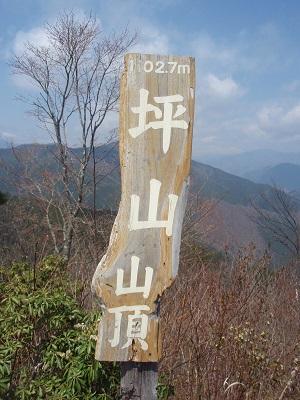 坪山登山とヒカゲツツジを求め